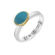 9ct Yellow Gold Sterling Silver Turquoise Stepping Stones 6x8mm Oval Bezel Set Ring. R578