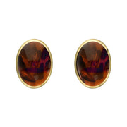 9ct Yellow Gold Amber 8 x 6mm Classic Medium Oval Stud Earrings, E006.