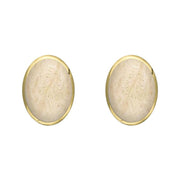 9ct Yellow Gold Coquina 8 x 6mm Classic Medium Oval Stud Earrings, E006.