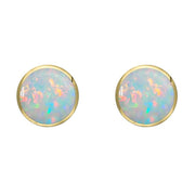 9ct Yellow Gold Opal 6mm Classic Medium Round Stud Earrings, E003.