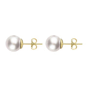 00179167 18ct Yellow Gold 4mm White Pearl Stud Earrings, E2538.