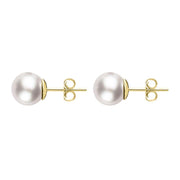 00179168 18ct Yellow Gold 6mm White Pearl Stud Earrings, E2539.