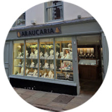picture of Whitby - Araucaria store