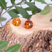 Sterling Silver Amber 6 mm Ball Stud Earrings, E1344_4